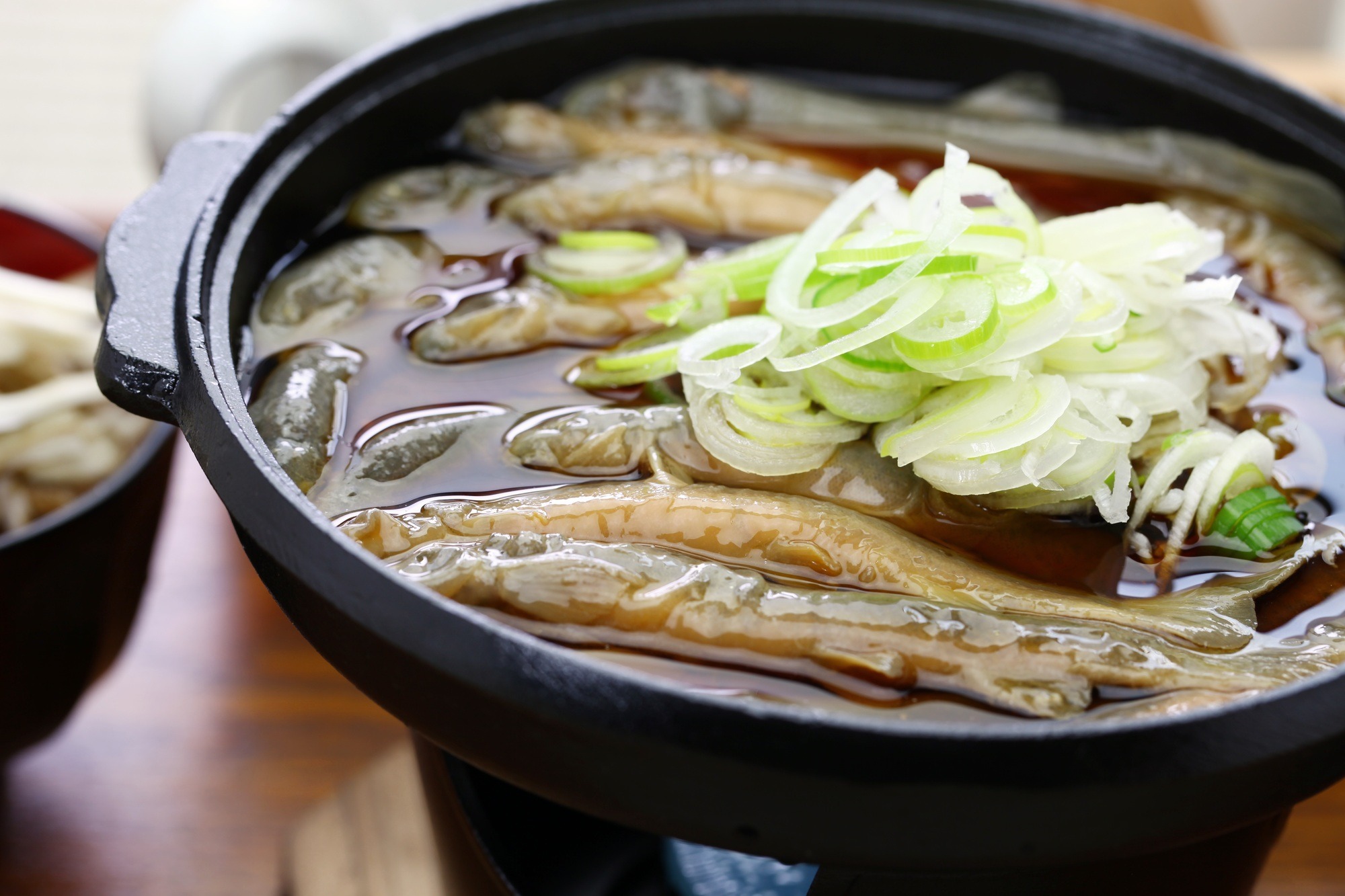 Dojo nabe, dojo loach hot pot, japanese traditional food